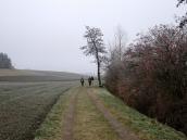  Wanderroute entlang des Moosbachl 