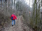  Blick auf den Wanderweg zum Schloss Tillysburg 