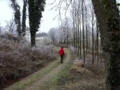  Blick auf den Wanderweg zum Schloss Tillysburg 