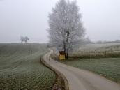  Blick auf die Wanderstrecke 