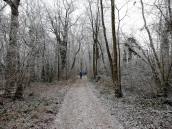  Wanderroute durch den Erholungswald Eichberg 