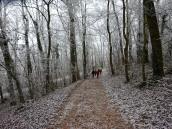  Wanderroute durch den Erholungswald Eichberg 