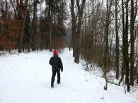  Wanderroute auf der Vacanopromenade 