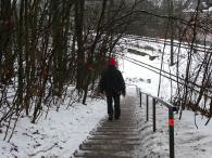  Wanderroute bergab zur Schwerdfegerstrae 