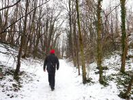  Wanderstrecke bergauf auf dem Weiterner Kellerweg 