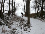  Wanderstrecke bergauf auf dem Weiterner Kellerweg 