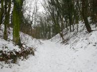  Wanderroute bergab "Am Pittnerberg" 