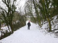  Wanderroute bergab "Am Pittnerberg" 