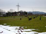  Blick zum Soldatenfriedhof-Lagerfriedhof in Matzendorf 