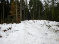  Blick auf die vereiste Wanderstrecke 