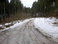  Blick auf die vereiste Wanderstrecke 