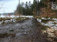  Blick auf die morastige Wanderstrecke 