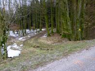  Blick auf die Wanderstrecke 