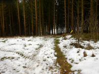  Blick auf die Wanderstrecke 