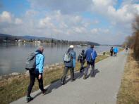 Marathonis auf dem Treppelweg Richtung Korneuburg 