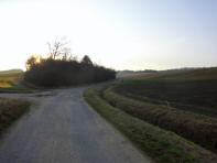 Wanderroute Richtung Brennleiten - Vogelberg Siedlung 