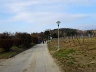 Wanderroute ber die Kellergasse, am Ortsende von Hagenbrunn 