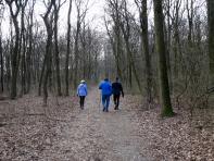  Wanderroute auf dem Bisamberg 