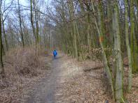  Wanderroute auf dem Bisamberg 