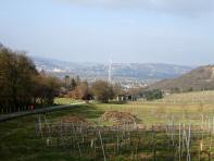  sehr schner Fernblick nach Klosterneuburg 