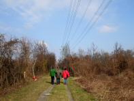  Wanderroute auf dem Begleitweg des Marchfeldkanal 