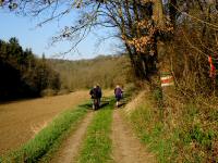  Wanderroute im Tal des Tobelbachs 