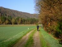  Blick auf die Wanderstrecke 