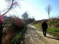 Wanderroute auf dem Kamptalrad- und Wanderweg entlang des Kamps 