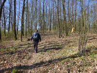  Wanderroute auf dem "Trude Marzik-Weg 