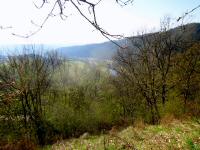  Fernblick ins Kamptal - Richtung Altenhof 