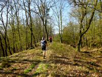  Marathonis auf dem "Trude Marzik-Weg 