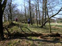  Marathonis auf dem "Trude Marzik-Weg 