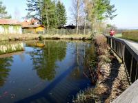  kleiner Teich in Thrneustift 