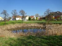  kleiner naturbelassener Teich in Thrneustift 