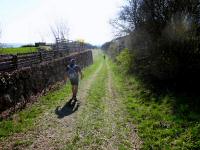  Wanderweg am Ortsende von Thrneustift 