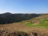  Fernblick ber das Stiefernbachtal zum Klopfartsberg 