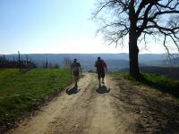  Wanderroute nach Stiefern 