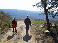  Wanderroute nach Stiefern 