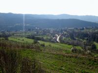  schner Fernblick ins Kamptal nach Stiefern 