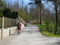  Marathonis am Ortsende von Altenhof 