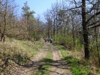  Wanderroute bergan auf den Tettenhengst 