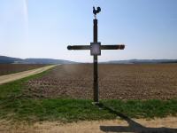  das schne Hahnkreuz in der Riede Hochfeld 