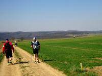  Wanderroute durch die Riede Hochfeld 