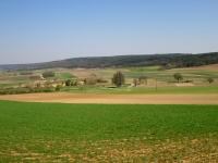  Fernblick zur Wanderstrecke in der Riede Letten 