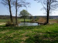  kleiner Weiher bei Freischling 