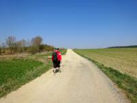 Wanderroute durch die ebene und eintnige Riede Letten  - Richtung  Kotzendorf