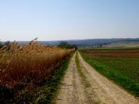 Wanderroute durch die ebene und eintnige Riede Edelfeld  - Richtung  Maiersch 