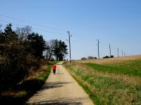  Blick auf die Wanderstrecke 