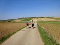  Wanderroute durch die Riede Heide nach Zitternberg 