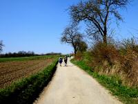  Wanderroute zum Maierscher Berg 